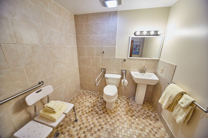 Best Bathroom Accessibility Contractors in Fort Atkinson, WI